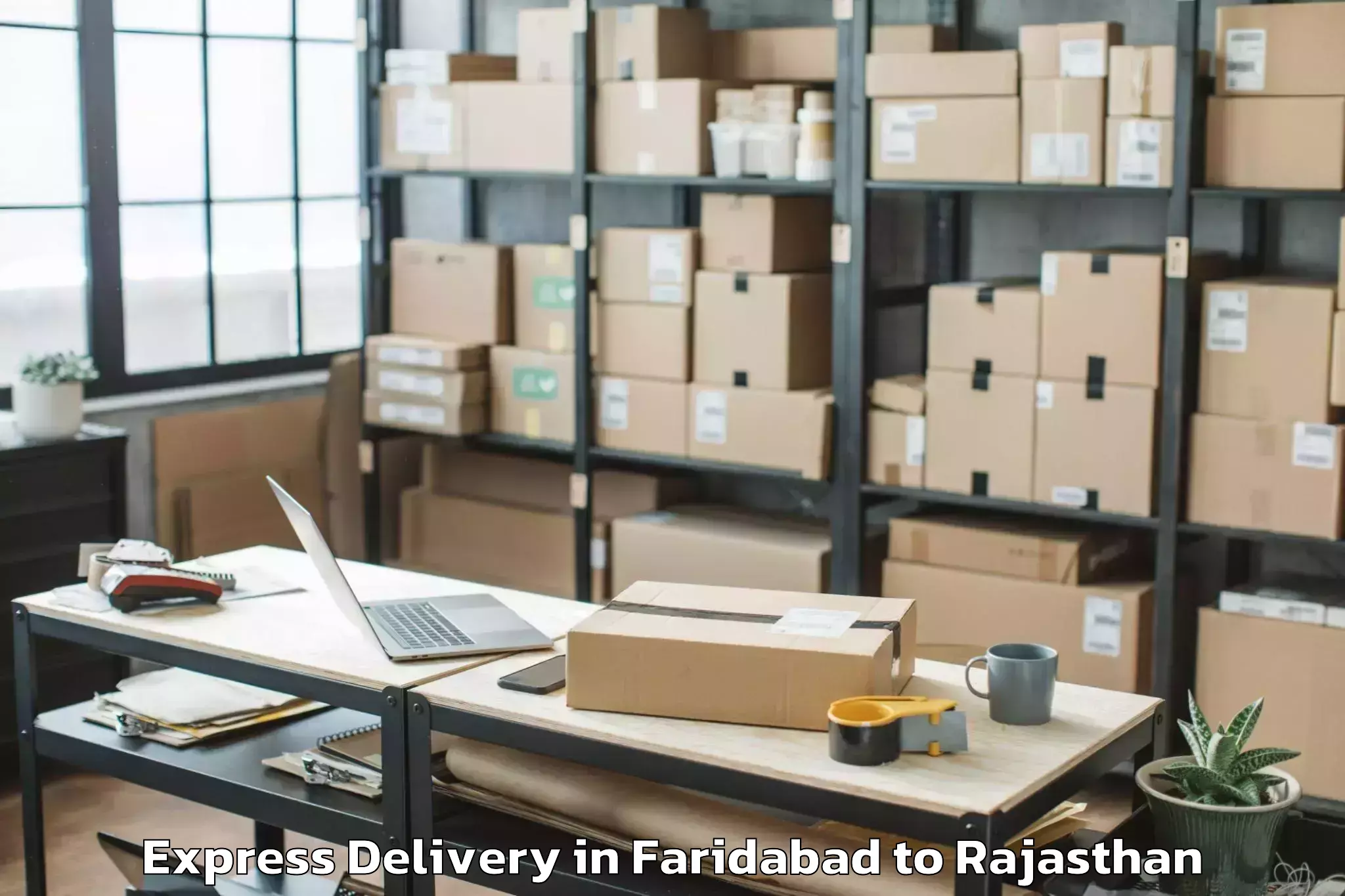 Expert Faridabad to Phalodi Express Delivery